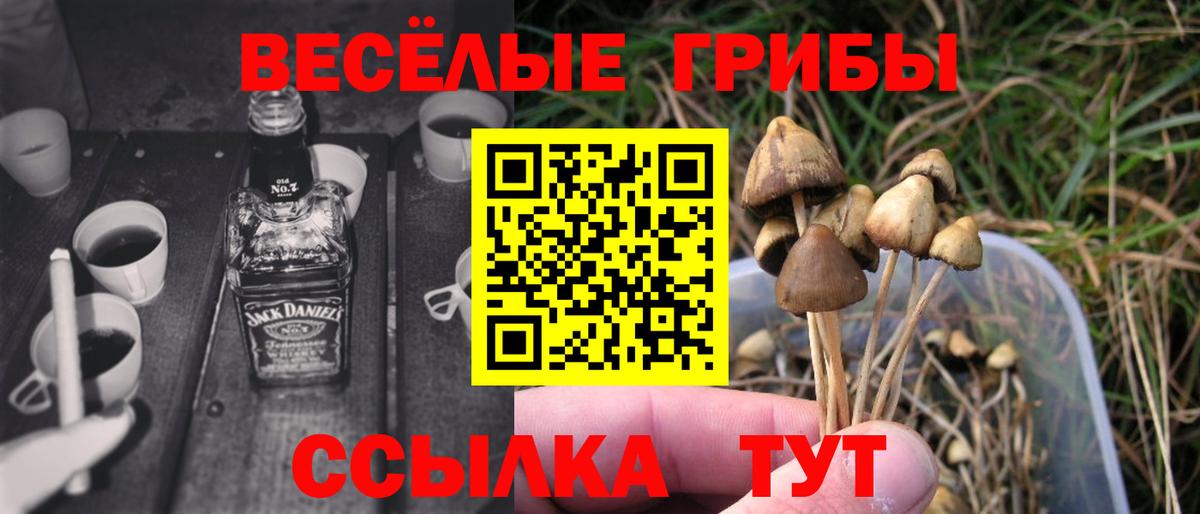 Галлюциногенные грибы GOLDEN TEACHER Гулькевичи