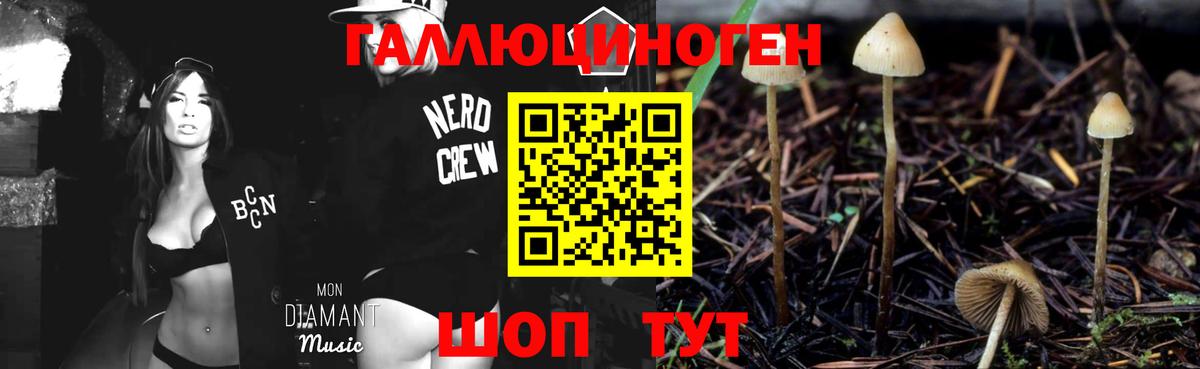 Псилоцибиновые грибы MAGIC MUSHROOMS  Вход с VPN  Гулькевичи  Галлюциногенные грибы прущие грибы 
