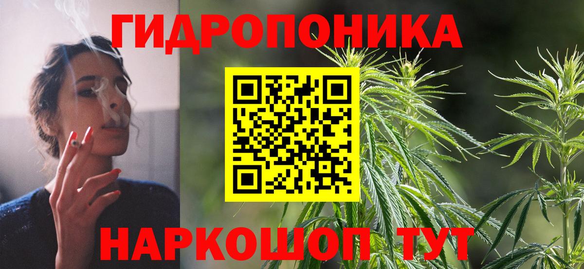 Конопля Amnesia  Канабис VHQ  Канабис семена  Вход с VPN  Гулькевичи 